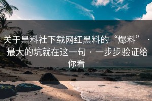 关于黑料社下载网红黑料的“爆料” · 最大的坑就在这一句 · 一步步验证给你看