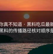 不写你真不知道 · 黑料吃瓜最新地址网红黑料的传播路径核对顺序是这样