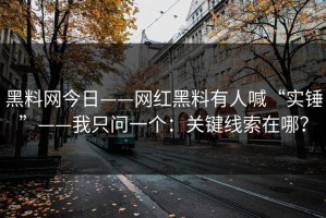 黑料网今日——网红黑料有人喊“实锤”——我只问一个：关键线索在哪？