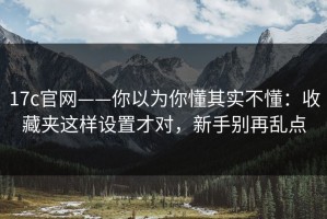 17c官网——你以为你懂其实不懂：收藏夹这样设置才对，新手别再乱点