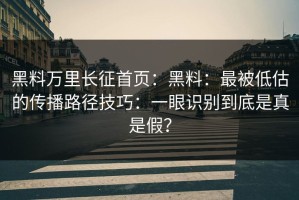 黑料万里长征首页：黑料：最被低估的传播路径技巧：一眼识别到底是真是假？