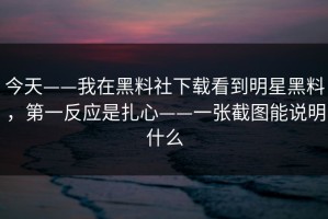 今天——我在黑料社下载看到明星黑料，第一反应是扎心——一张截图能说明什么