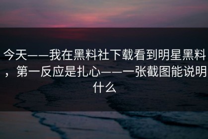 今天——我在黑料社下载看到明星黑料，第一反应是扎心——一张截图能说明什么