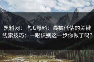 黑料网：吃瓜爆料：最被低估的关键线索技巧：一眼识别这一步你做了吗？