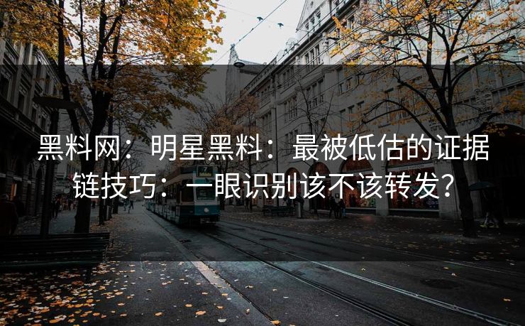 黑料网：明星黑料：最被低估的证据链技巧：一眼识别该不该转发？