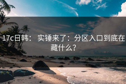 17c日韩： 实锤来了：分区入口到底在藏什么？