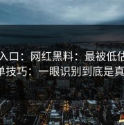 吃瓜入口：网红黑料：最被低估的避坑清单技巧：一眼识别到底是真是假？