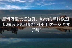 黑料万里长征首页：热传的黑料截图：拆解后发现证据链对不上这一步你做了吗？