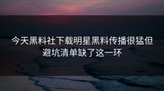 今天黑料社下载明星黑料传播很猛但避坑清单缺了这一环