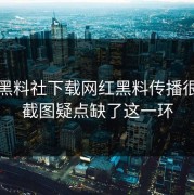 最近黑料社下载网红黑料传播很猛但截图疑点缺了这一环
