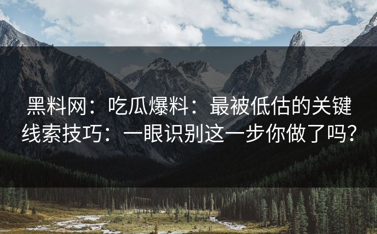 黑料网：吃瓜爆料：最被低估的关键线索技巧：一眼识别这一步你做了吗？