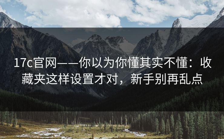 17c官网——你以为你懂其实不懂：收藏夹这样设置才对，新手别再乱点
